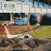 participacor-02