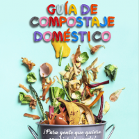 captura-de-pantalla-de-2020-12-01-19-27-45
